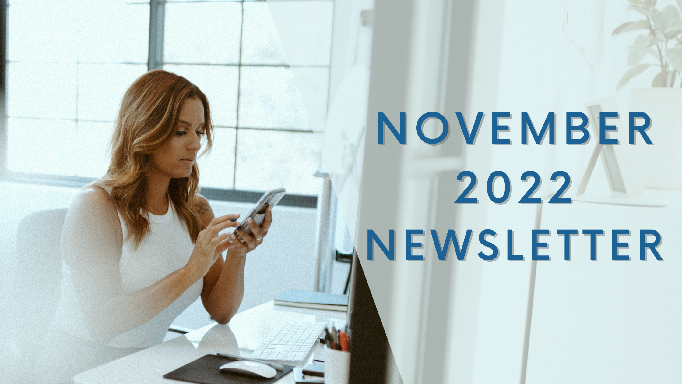 November 2022 Newsletter